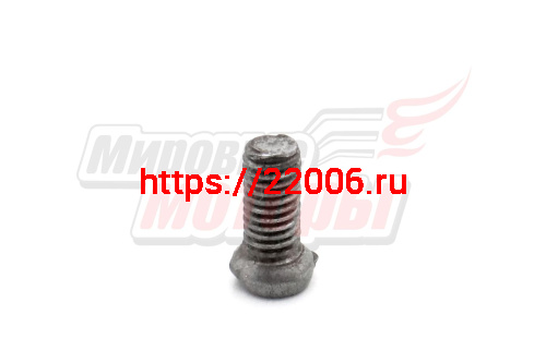 Винт М6х13 корпуса сальника генератора, опорной пластины подшипников Минск (завод) Винт М6х13 корпуса сальника генератора, опорной пластины подшипников Минск (завод)