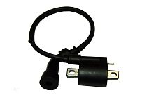 Катушка зажигания YBR125 (Zodiak) с проводом и свечным колпачком