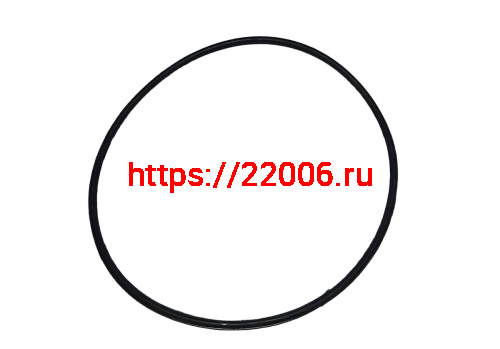 Кольцо Буран уплотнительное коллектора большое 100х3 (110500996) Кольцо Буран уплотнительное коллектора большое 100х3 (110500996)