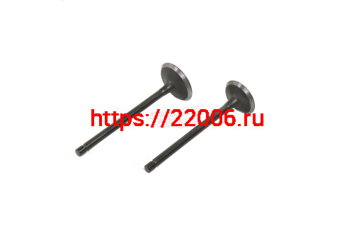 Клапаны (впуск/выпуск) 165FMM, 166FMM (d27/31,5 L90/91) Клапаны (впуск/выпуск) 165FMM, 166FMM (d27/31,5 L90/91)