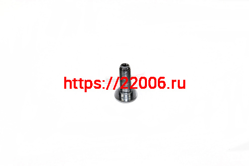 Винт крепления заднего тормозного диска Storm Indigo Винт крепления заднего тормозного диска Storm Indigo
