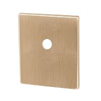 Накладка Armadillo (Армадилло) на шток цилиндра ESC.O.USS/K (BK Protector/USS) FSG флорентийское золото