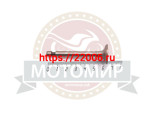 Клапан выпускной 160F диаметр 20 мм (14412)