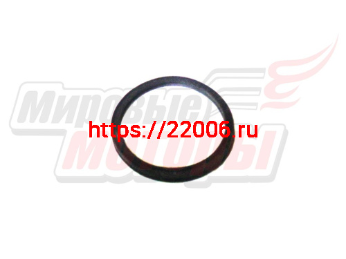 Сальник рулевой колонки Урал (ИМЗ 8.101-08159) Сальник рулевой колонки Урал (ИМЗ 8.101-08159)