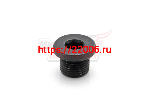 Пробка гидрораспределителя M18 минитрактора LW-12, LW-15, Русич Т-12, Т-15, Скаут Т-15 Пробка гидрораспределителя M18 минитрактора LW-12, LW-15, Русич Т-12, Т-15, Скаут Т-15
