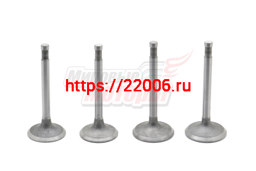 Клапаны Днепр (1 комплект=2 пары) Клапаны Днепр (1 комплект=2 пары)