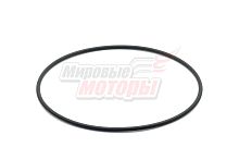 Кольцо уплотнительное (340.08.0.3013) между корпусом и фильтром МБ Агро