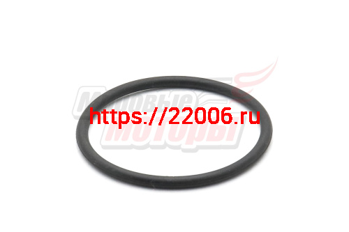 Кольцо Буран уплотнительное крышки бензобака Кольцо Буран уплотнительное крышки бензобака