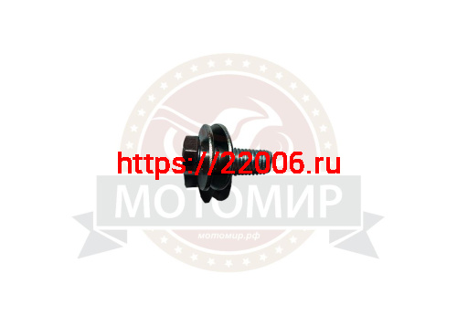 Болт М8*25мм + 2 шайбы (гровер+шайба М8) (крепление ведомой звезды) на Лидер Болт М8*25мм + 2 шайбы (гровер+шайба М8) (крепление ведомой звезды) на Лидер