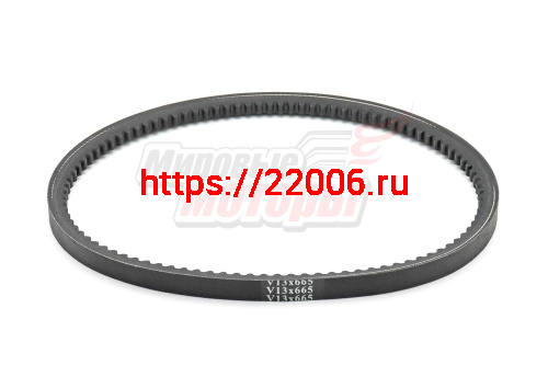Ремень V13x665 зубчатый (Россия) на снегоуборщик Ремень V13x665 зубчатый (Россия) на снегоуборщик