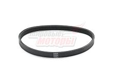 Ремень CHAMPION BC4401 (807018)