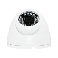 DVI-D225 POE LV v2.0 OEM видеокамера IP