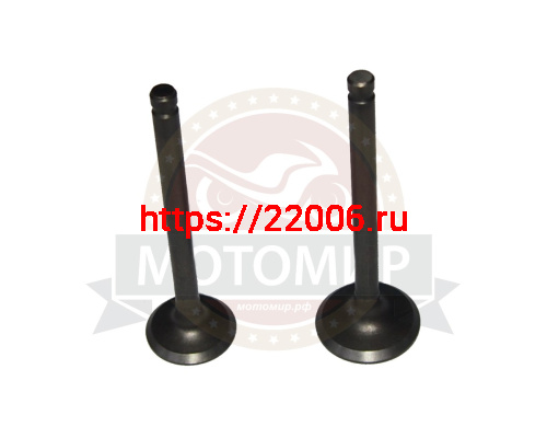 Клапан впускной/выпускной "Zodiak", Альфа 70/90/110 152FMH (d20/h65мм, d23/h66мм) (компл) фото 2 Клапан впускной/выпускной "Zodiak", Альфа 70/90/110 152FMH (d20/h65мм, d23/h66мм) (компл) фото 2